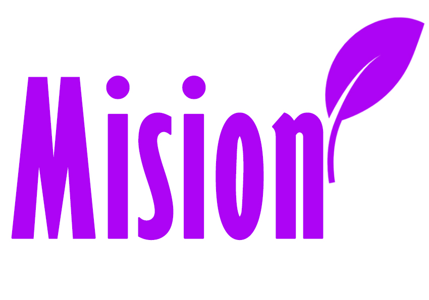Misión