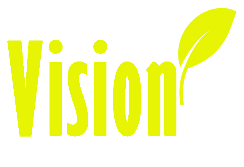 Visión
